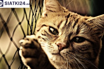 Siatki Częstochowa - Siatki na balkony - zabezpieczenie dzieci i zwierząt dla terenów Częstochowy