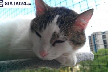 Siatki Częstochowa - Siatka na balkony dla kota i zabezpieczenie dzieci dla terenów Częstochowy